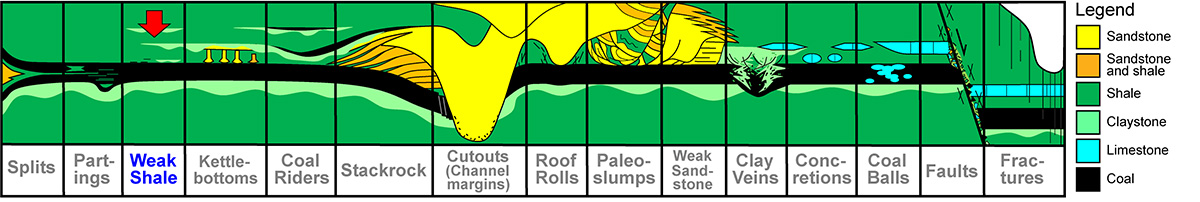 Weak shale mine roofs